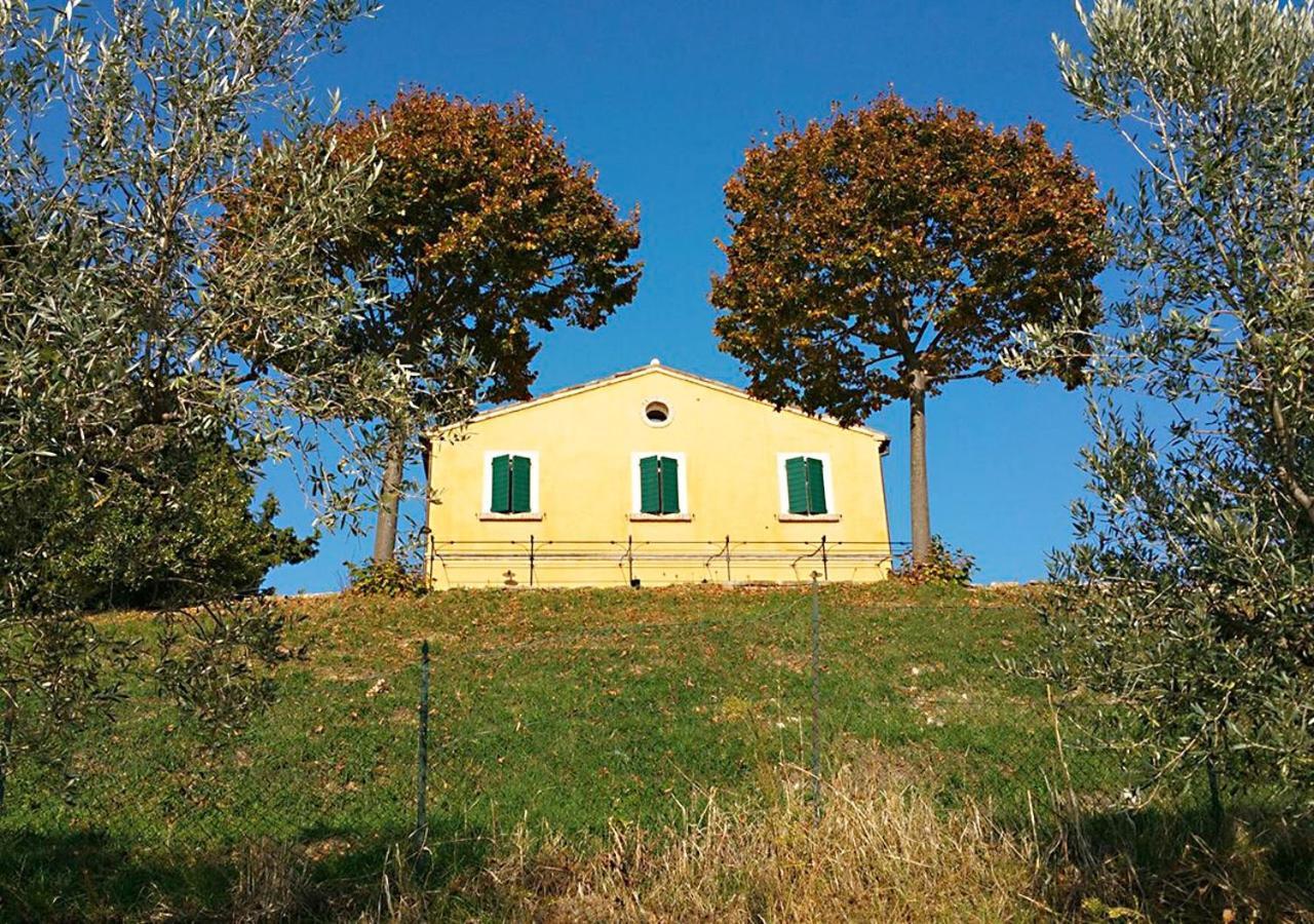 B&B Santa Caterina Acquaviva Picena Rum bild