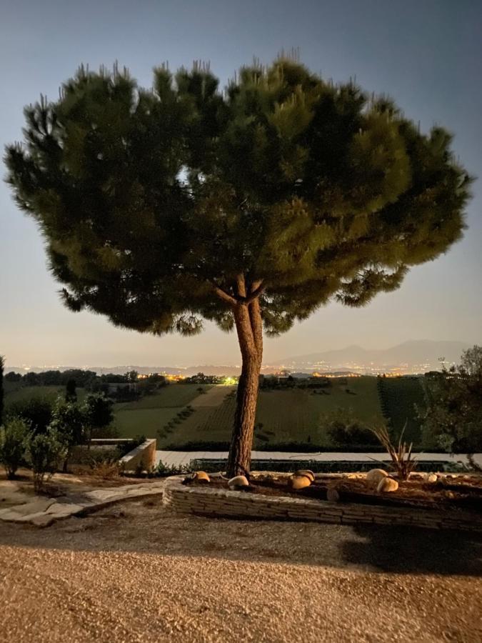 B&B Santa Caterina Acquaviva Picena Exteriör bild