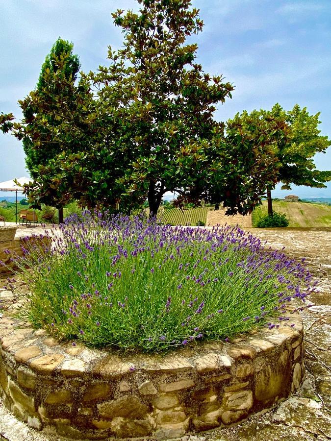 B&B Santa Caterina Acquaviva Picena Exteriör bild